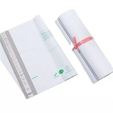 Polybag Poly Mailer Express sumkasi